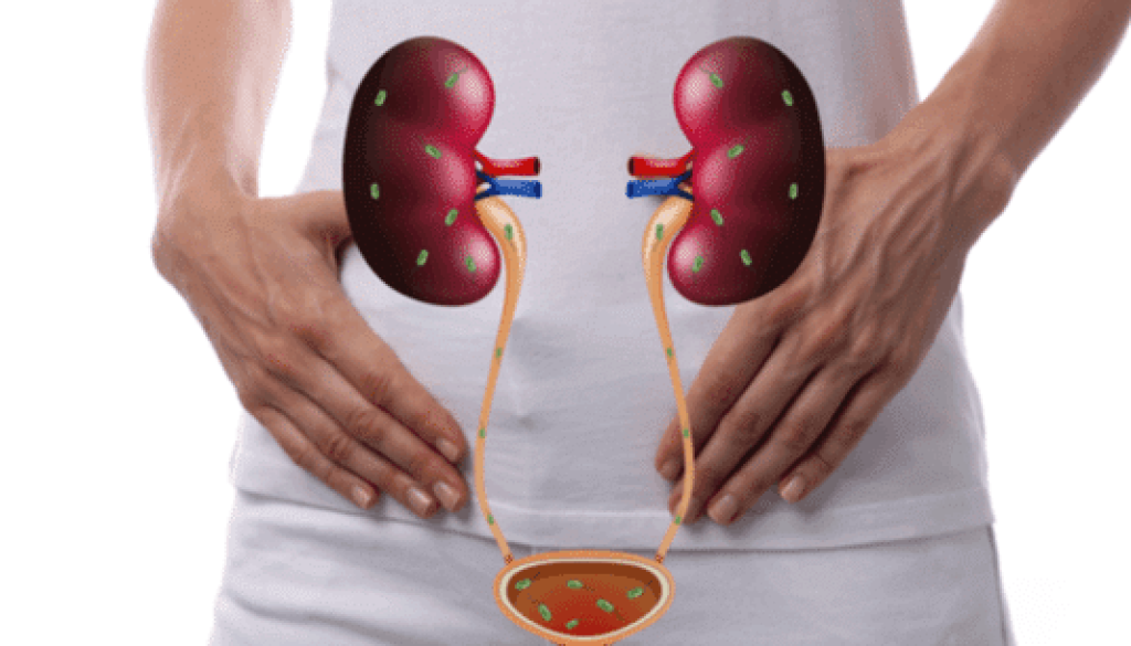 Urinary tract infection treatment in nepal Urinary tract infection treatment in nepal