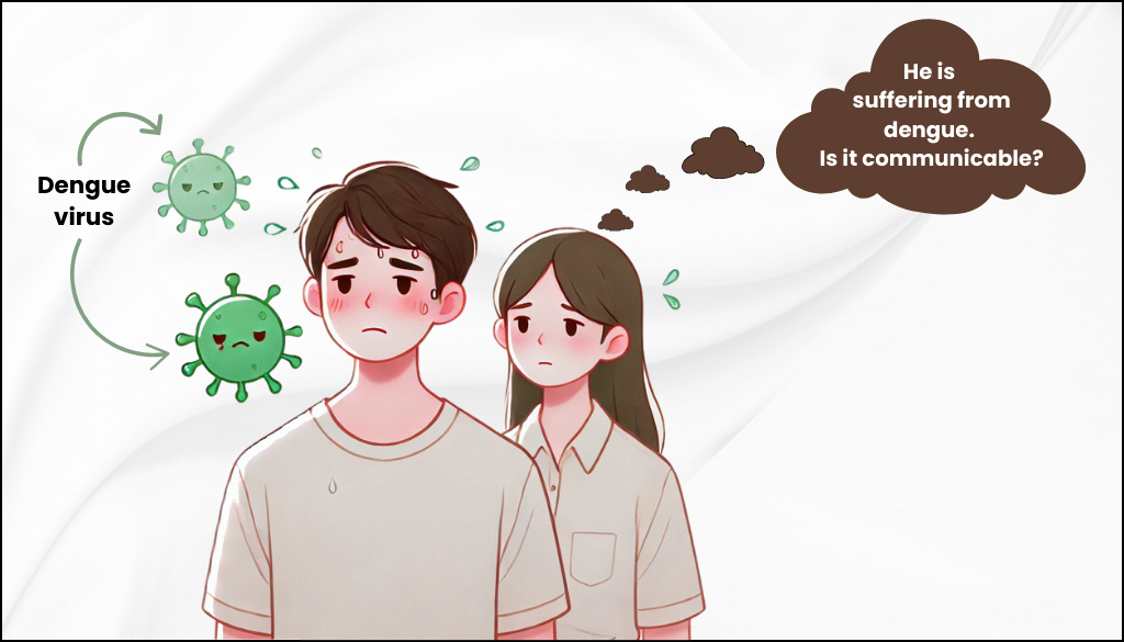Is Dengue a Communicable Disease? Read This Before You Panic