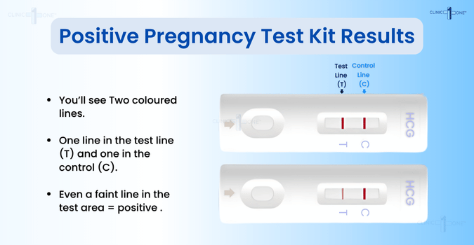 Positive Pregnancy Test Kit Results A graphic illustration of positive pregnancy test kit results showing two colored lines: one on the test line (T) and one on the control line (C), indicating pregnancy.