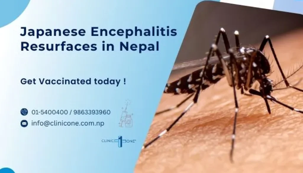 japanese encephalitis cases resurfaces in nepal japanese encephalitis cases resurfaces in nepal