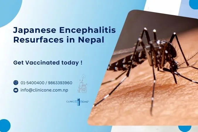 Japanese Encephalitis Resurfaces in Nepal: Claims 11 Lives and 63 Infected