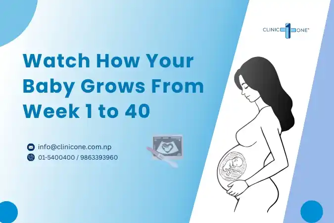 Pregnancy Ultrasound Week-by-Week: See What Happens Each Week