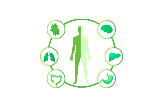 Basic Regular Health Checkup in Kathmandu | Clinic One