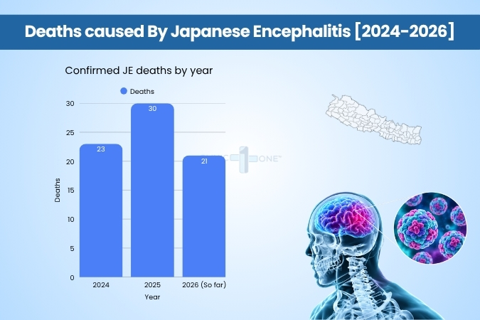 Deaths Caused by JE [2024 - 2026]